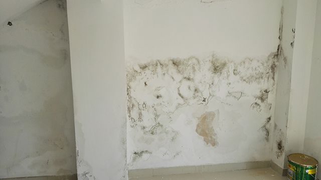 房子墙面渗水原因，如何及时处理墙面渗水？