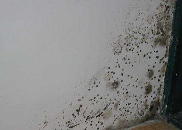家里墙面发霉要怎么处理，这些方法和技巧太实用了！